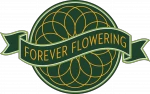  Forever Flowering Promo Codes